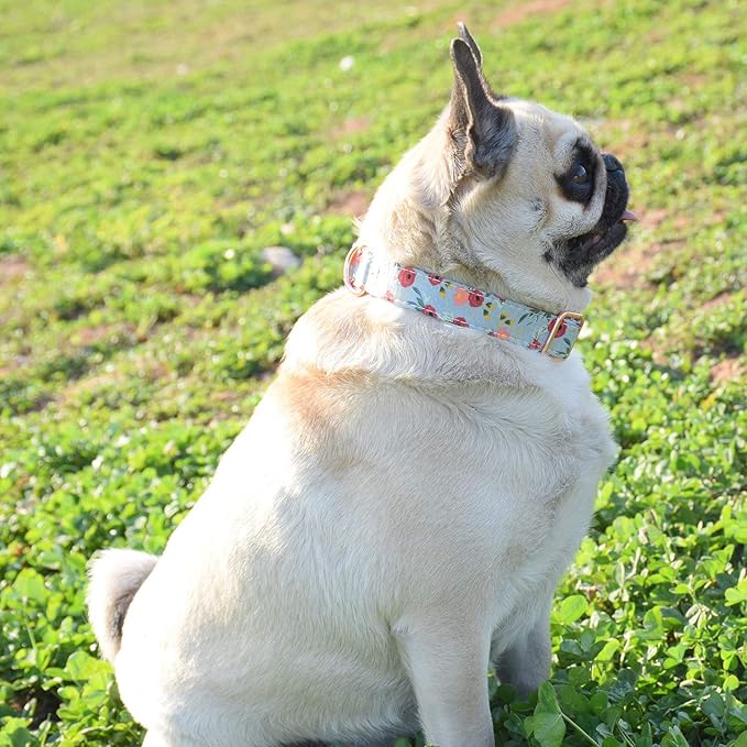 Metal Buckle Dog Collar, Durable Adjustable Dog Collar Soft for Small Medium Large Dogs (001-Flower11, S(10-14in))