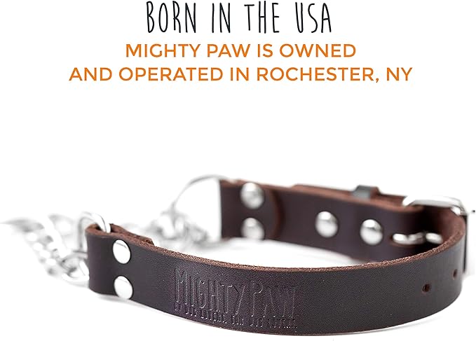 Mighty Paw Martingale Dog Collar - No Pull Design - Stainless Steel Chain - Limited Chain Cinch Training - Brown Leather Martingale Training Collar - Large Size