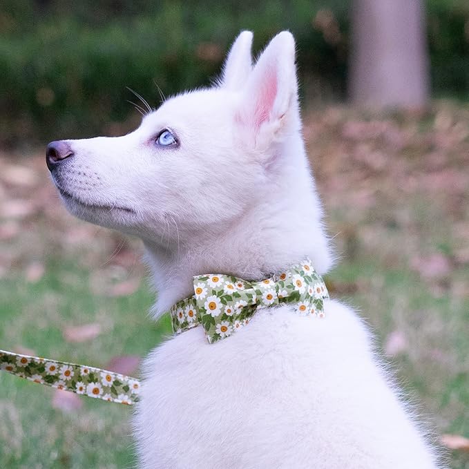 Tunkoo Dog Collar Floral with Elegant Bow Tie Soft Comfy Cotton Adjustable Collar, Premium Metal Buckle for Puppy and Cat Small Medium Large(Green Flowers,M)
