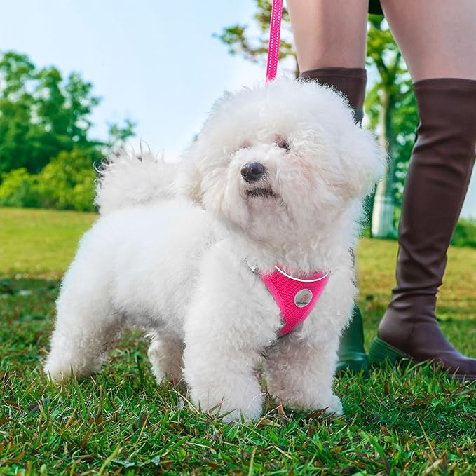Dog Harness and Leash Set, No Pull Soft Mesh Pet Harness for Small Medium Dogs, Cats - Step in Adjustable Reflective Puppy Harness with Buckle and Double D-Rings - Red, XXS