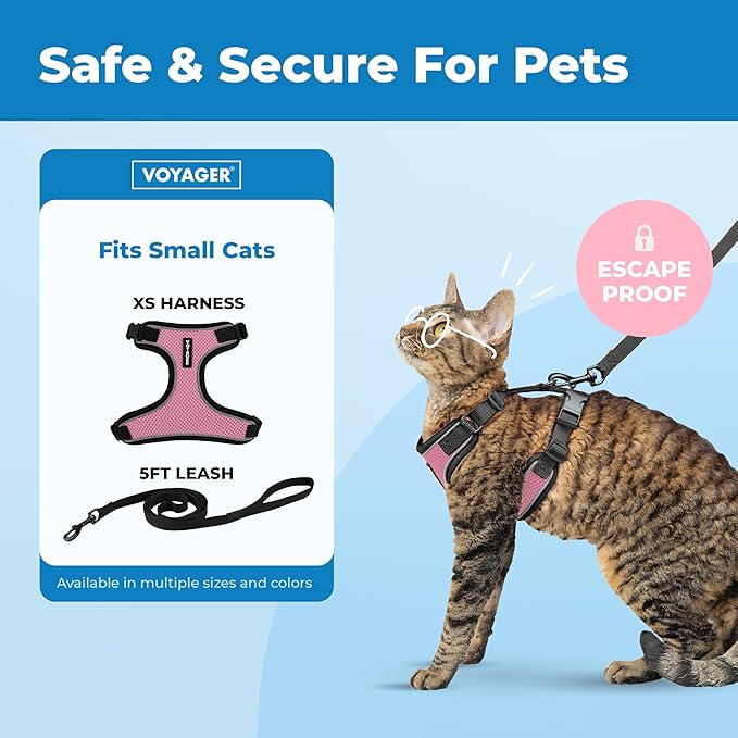 Voyager Escape Proof Cat Harness and Leash Set with Reflective Stitching, Neoprene Handle 5ft - Supports Small, Medium and Large Cats, Kittens for Walking by Best Pet Supplies - Black Trim-Pink, XS