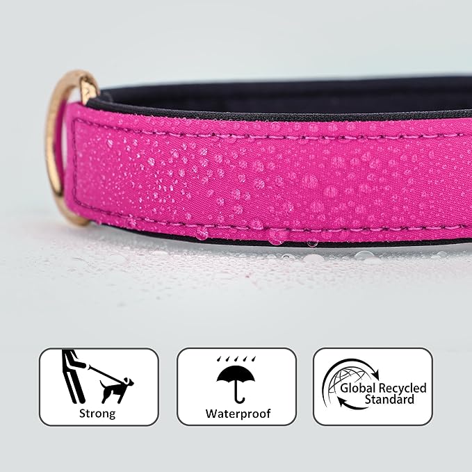Didog Soft Padded Dog Collars for Medium Dogs, Lightweight and Breathable Dog Collar Waterproof with Metal Buckle, Rose Purple, M