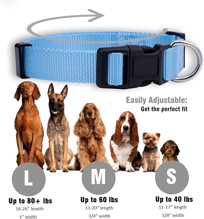 Native Pup Basic Nylon Dog Collar, Adjustable for Small, Medium, Large pet and Puppies Accessories, Cute Colors for Male, Female, boy, Girl, Puppy (Small, Light Blue)