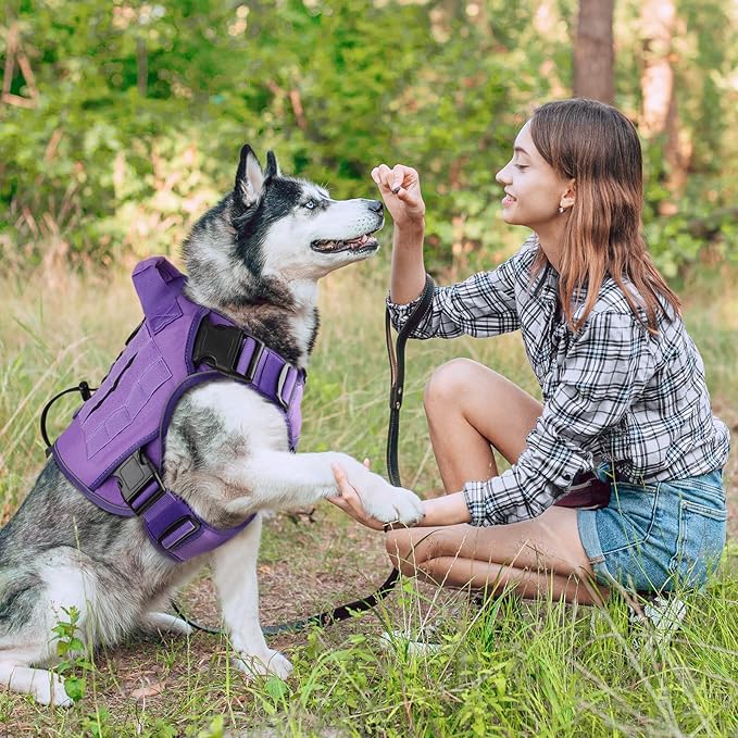 WINGOIN Purple Harness with Handle Tactical Dog Harness Vest for Large Medium Dogs No Pull Adjustable Reflective K9 Military Dog Vest Harnesses for Walking, Hiking, Training(M)