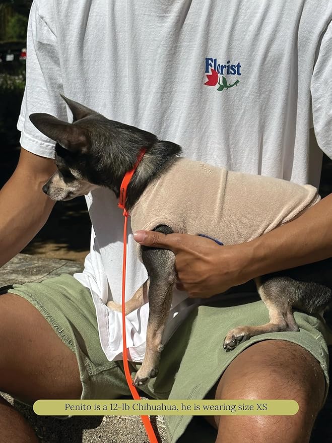 ADEDAS Sleeveless Shirt - Beige XXS