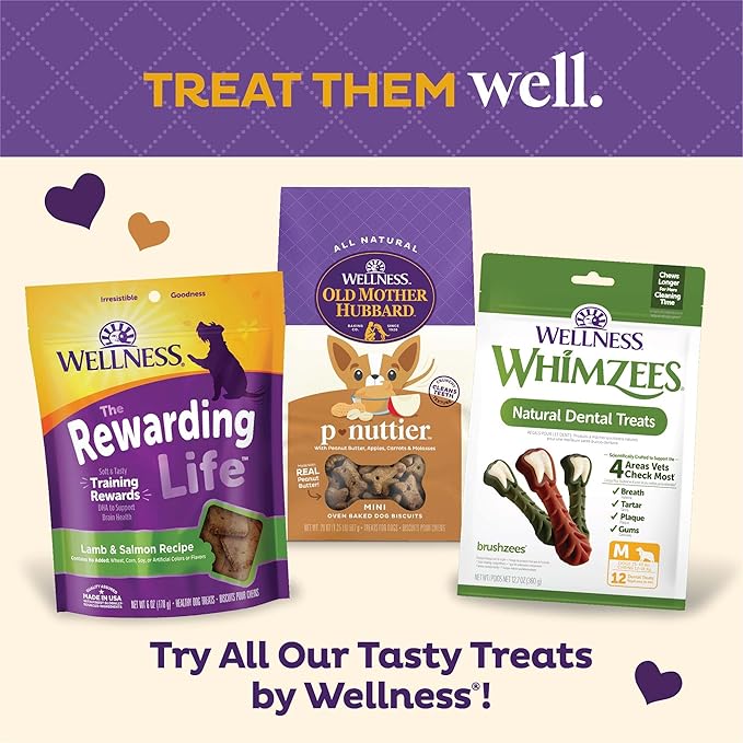 Old Mother Hubbard Wellness P-Nuttier Dog Biscuits, Natural, Training Treats, Peanut Butter Flavor, Mini Size, (6 Pound Box)
