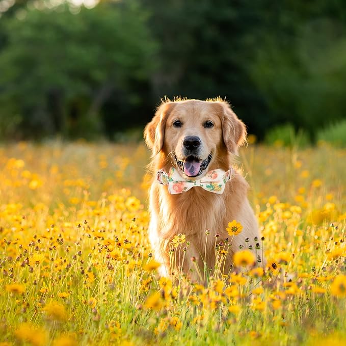 Adjustable Bow Tie Dog Collar Printed Cute Patterns Spring Summer Soft Pet Collars for Small Medium Large Dogs