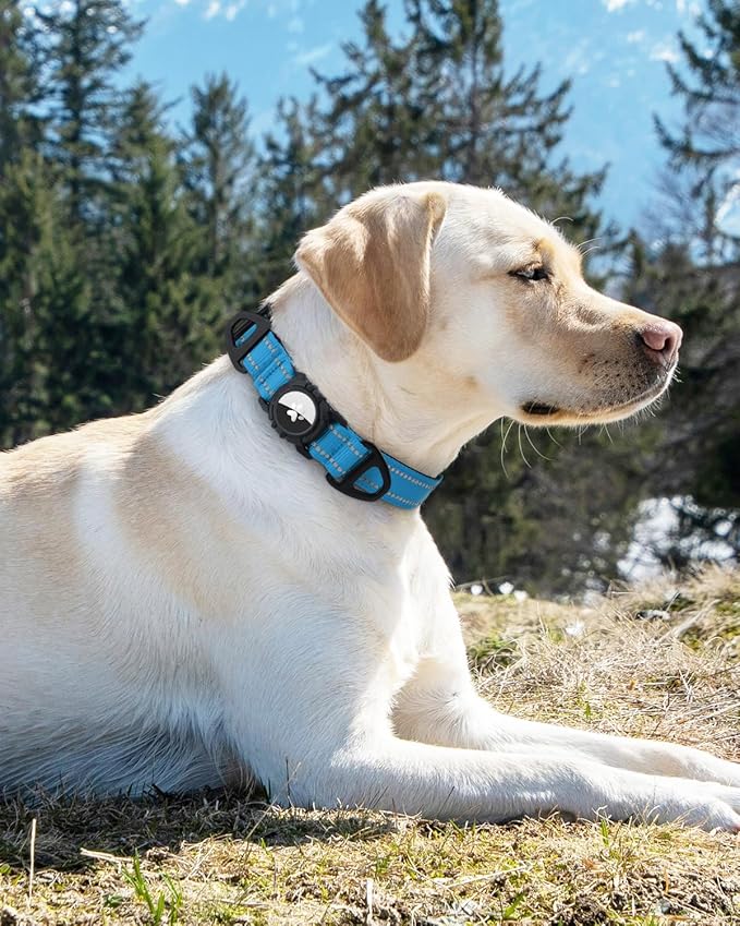 Joytale Airtag Dog Collar, Dual D-Rings, Reflective Pet Collar with Waterproof AirTag Holder, Soft Padded Adjustable for Small Dogs, SkyBlue, S