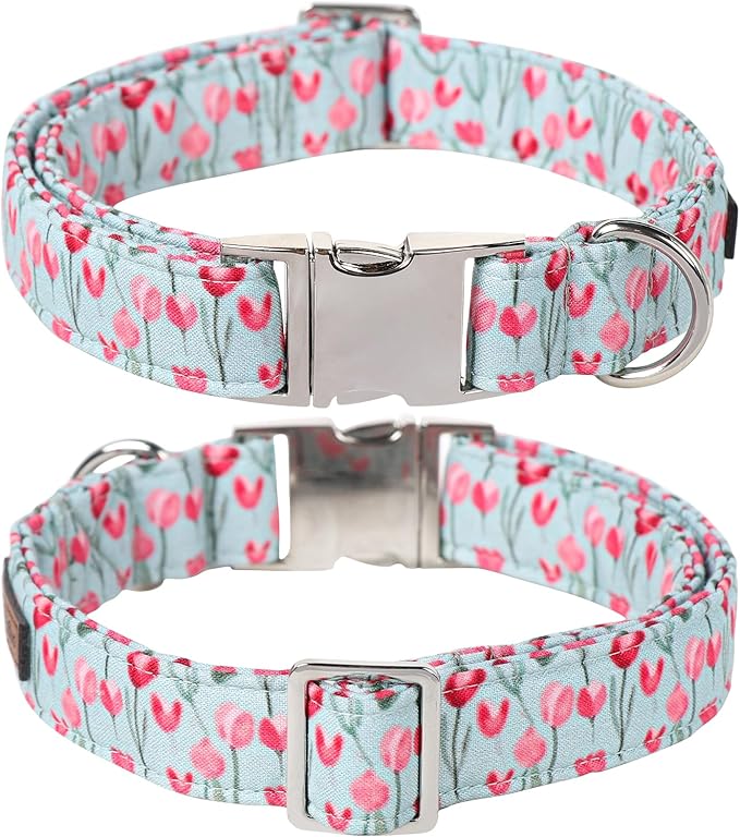 Lionet Paws Design Dogs Collar Cute Flower Sailor Bow Dog Collars for Girl Female Medium Large Dogs with Tulips XL