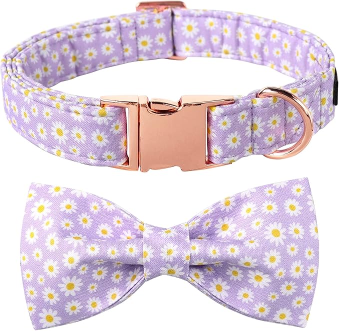 Lionet Paws Spring Dog Collar with Bowtie, Soft Comfortable Adjustable Cute Daisy Bowtie Collar for X-Large Dogs Female Gift, Neck 16-26 inches
