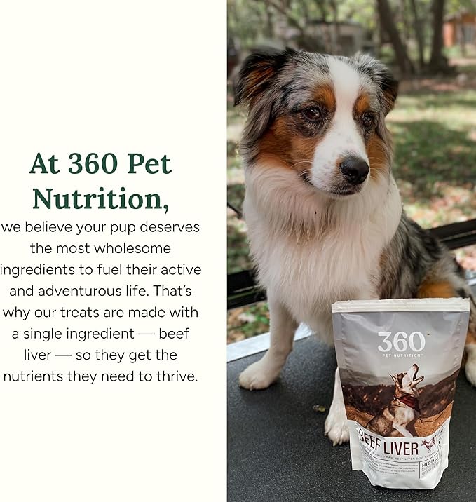 360 Pet Nutrition Freeze-Dried Raw Beef Liver Dog or Cat Treats, Single Ingredient, High Protein, Grain-Free, Made in USA, All-Natural, 4 oz (Beef Liver), Healthy, Training Snacks, Premium Quality