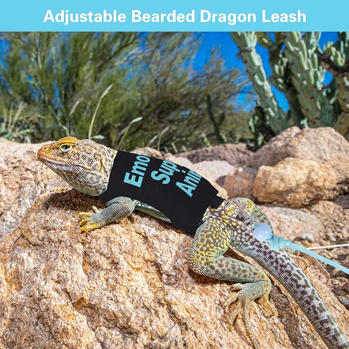 Bearded Dragon Harness and Leash Set Adjustable Reptile Lizard Leash Rope Vest Clothes Starter Kit Accessories for Small Animal Outdoor Walking Training