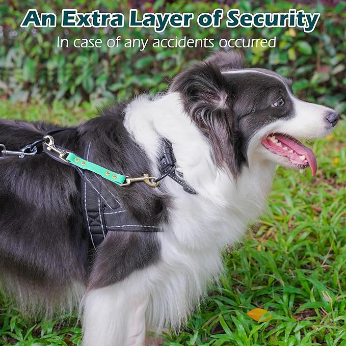 PetBonus Dog Collar Safety Clip, Waterproof Backup Safety Strap for Dog Harness to Prong Collar, Odor Proof Double Ended Clasp Leash Connector for Training Walking (Mint Green)