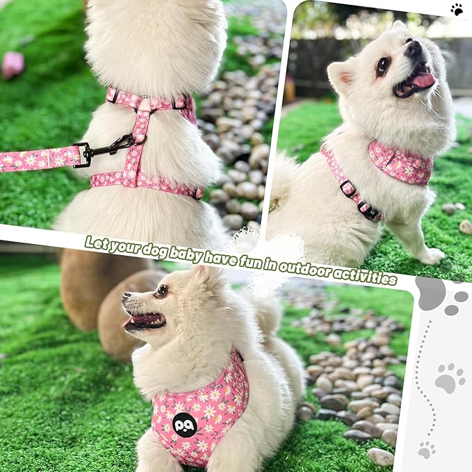 QQPETS Dog Harness Collar Leash with Poop Bag Holder 4 PCS Set, Adjustable No Pull Soft Mesh Padded Vest for Small Medium Large Pet Puppy Outdoor Walking (Daisy Pink, XS (Chest 12.1”-18.9”))