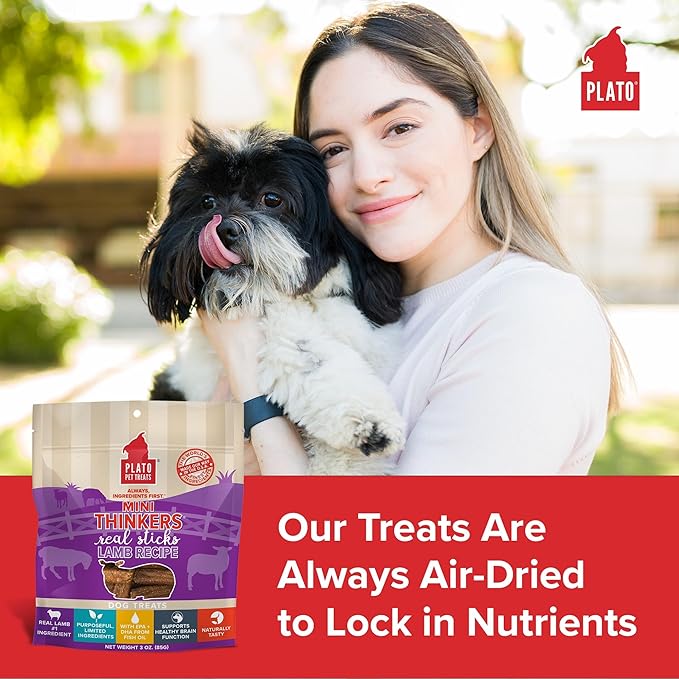 Plato Pet Treats Thinkers - Meat Stick Treats for Dogs - Limited Ingredient Dog Treats with EPA and DHA to Support Skin, Coat, and Brain - Air-Dried Dog Treats - Mini Thinkers Lamb 6oz