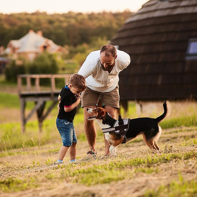 Dogline Dog Harness, Reflective No-Pull Adjustable Vest with Handle for Walking, Training, Breathable, No - Choke Harness for Small, Medium or Large Dogs Room for Patches Leopard Rainbow S 18"-24"