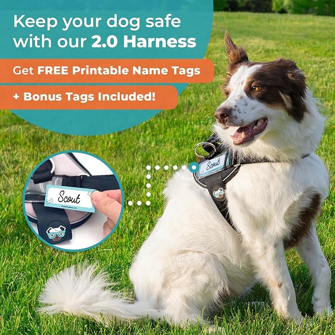 Joyride Harness LED Light Up Dog Harness 2.0 - Patent Pending Design, 3 LED Modes, Vibrant Rechargeable Lighting, Customizable Name Tag Area, and Convenient On/Off Button for Enhanced Pet Safety
