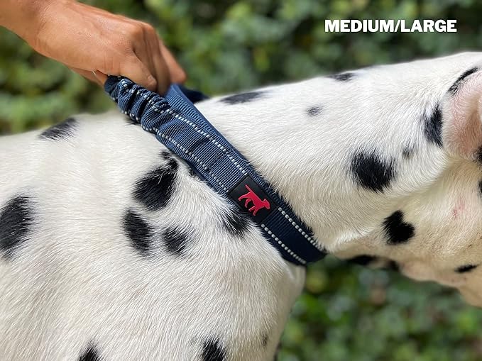 Tuff Pupper Heavy Duty Dog Collar with Handle | Ballistic Nylon Heavy Duty Collar | Padded Reflective Dog Collar with Adjustable Stainless Steel Hardware | Convenient Sizing for All Breeds