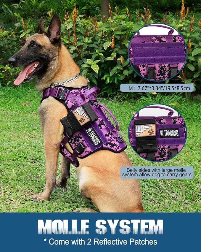 Tactical Dog Harness - PETNANNY Dog Harness Service Dog Vest for Large Breed Dog, Hook and Loop Panel for Service Dog Patchs, Work Dog MOLLE Vest with Handle for Walking Hiking Training(Purple Camo,M)