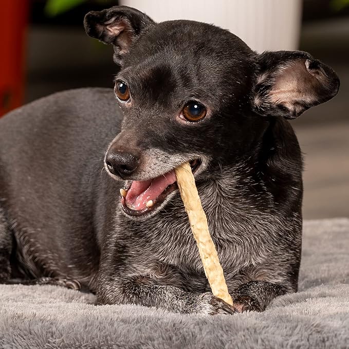 Pet Factory American Beefhide 5" Munch Mini Rolls Dog Chew Treats - Natural Flavor, 40 Count/1 Pack