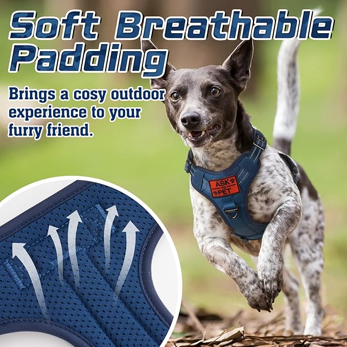 rabbitgoo Tactical Dog Harness Medium Sized Dog, No Pull Military Service Vest with Handle & Molle, Easy Control for Training Walking, Adjustable Reflective Straps, Blue, M