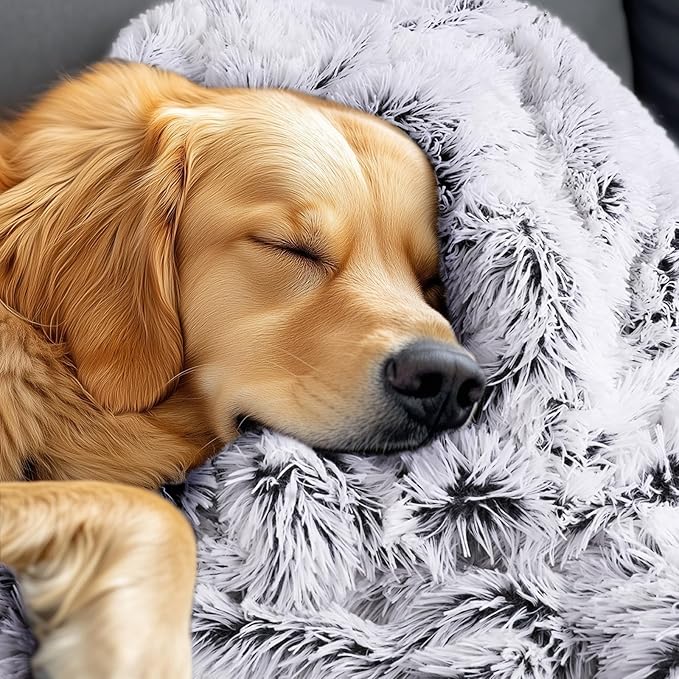 Luciphia Large Waterproof Dog Blanket for Pet Washable Liquid Proof Furniture Protector Shaggy Plush Calming Long Faux Fur Bed Cover for Couch Calming Cat Blankets for Medium, Mist Grey, 30" x 40"