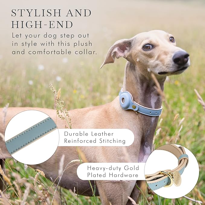 Cupertino Dog Collars, Harnesses & Leashes Made from Vegan Leather with Dog Tracker Device Holder Adjustable Dog Collar (Small, Blue)