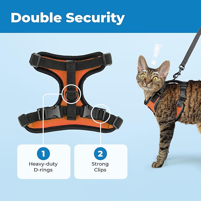 Voyager Escape Proof Cat Harness and Leash Set with Reflective Stitching, Neoprene Handle 5ft - Supports Small, Medium and Large Cats, Kittens for Walking by Best Pet Supplies - Black Trim-Orange, XS