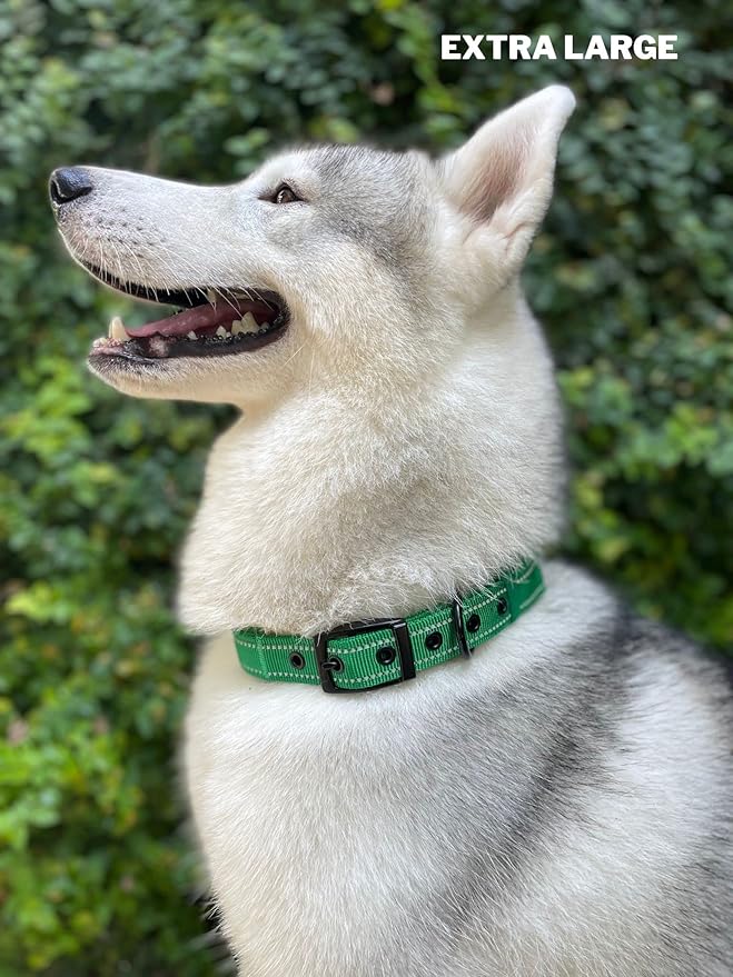 Tuff Pupper Heavy Duty Dog Collar with Handle | Ballistic Nylon Heavy Duty Collar | Padded Reflective Dog Collar with Adjustable Stainless Steel Hardware | Convenient Sizing for All Breeds