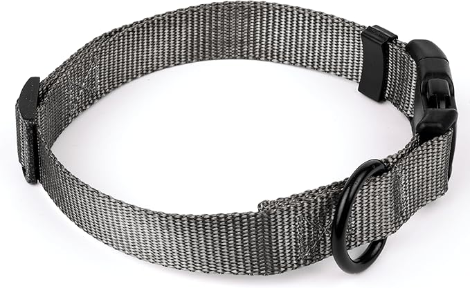 Country Brook Petz - American-Made Dog Collar for Large, Medium, and Small Dogs and Puppies - Deluxe Heavy Duty Nylon in 33 Dazzling Colors (Large, 1 Inch Wide, Charcoal)