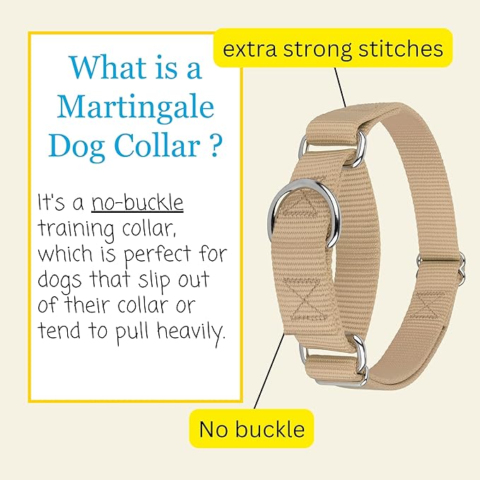 Country Brook Petz Martingale Dog Collar - Heavy-Duty Training Collar with No Buckle - Service Dog Collar for All Pups - Vibrant, Colorful Collection (Copper Gold, 3/8 Inch, 2XS)