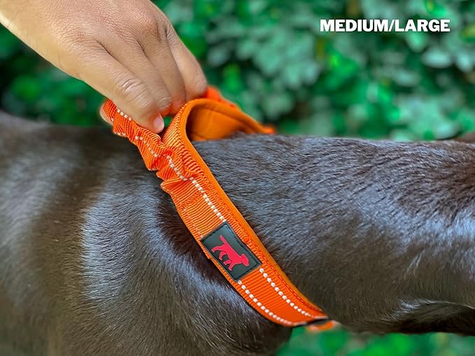 Heavy Duty Dog Collar With Handle | Ballistic Nylon Heavy Duty Collar | Padded Reflective Dog Collar With Adjustable Stainless Steel Hardware | Convenient Sizing for All Breeds