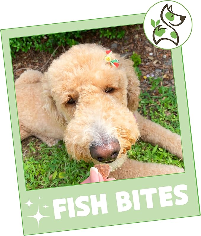 Nature Gnaws Fish Bites for Dogs - Natural Dog Treats – Premium Cod & Salmon Chewy Training Reward – 1 Lb
