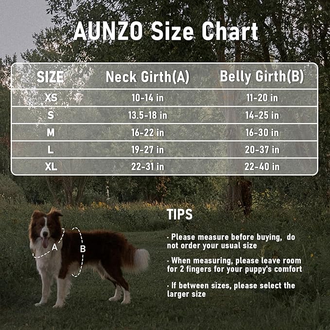 Tactical Dog Harness Medium Sized Dog, No Pull Pet Harness, Adjustable Dog Vest for Easy Walking, Breathable Oxford Material, Reflective Strips with Metal Front Clip Control, Black