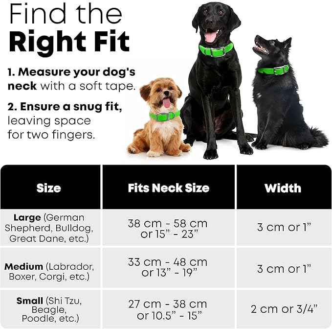 Regal Dog Products Small Light Green Waterproof Dog Collar and Leash Set | Heavy Duty Double Buckle & D Ring - 5'ft Leash | Adjustable Biothane Dog Collar | Chew Resistant Waterproof Collar for Dogs