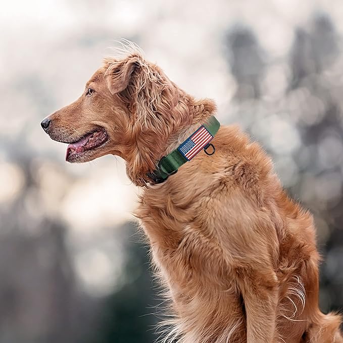 KCUCOP Heavy Duty Dog Collar - Adjustable Tactical Military Dog Collars with Metal Buckle, Quick Release, 2 D-Rings & Flag Patch for Medium & Large Dogs(Green-M)