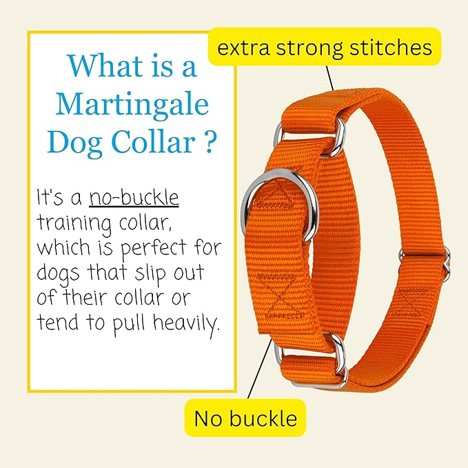 Country Brook Petz Martingale Dog Collar - Heavy-Duty Training Collar with No Buckle - Service Dog Collar for All Pups - Vibrant, Colorful Collection (Orange, 3/8 Inch, 2XS)
