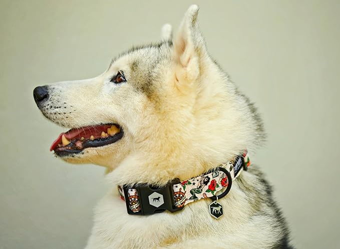 Tuff Pupper Premium Adjustable Dog Collar for Large Girl Dogs, Stylish Pattern Collars Designed in USA, Quick Release Buckle, RebelWhite Print for Female Dogs, Large (1 Inch Wide x 18-26 Inch Neck)