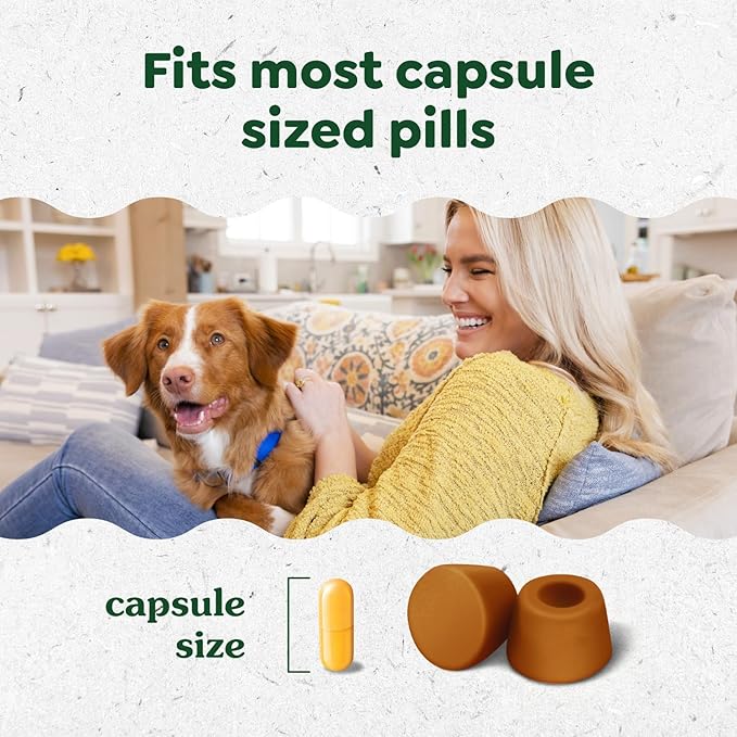 Greenies Pill Pockets for Dogs Large Size, Soft Dog Treats, Chicken Flavor, 15.8 oz. Pouch (60 Treats)