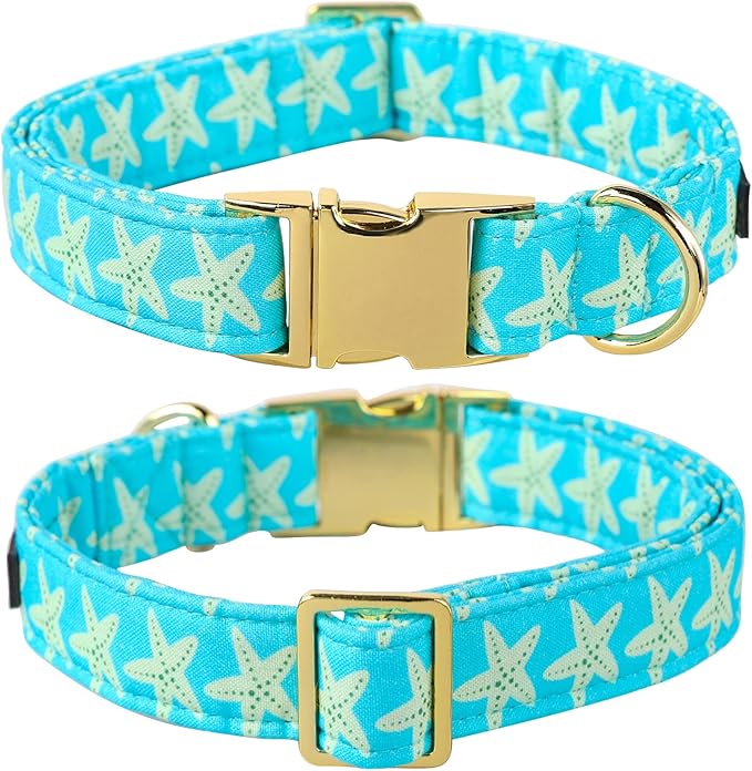 Lionet Paws Summer Female Dog Collar with Flower, Soft Comfortable Adjustable Starfish Collar for Dogs, Medium, Neck 13.5-22 inches