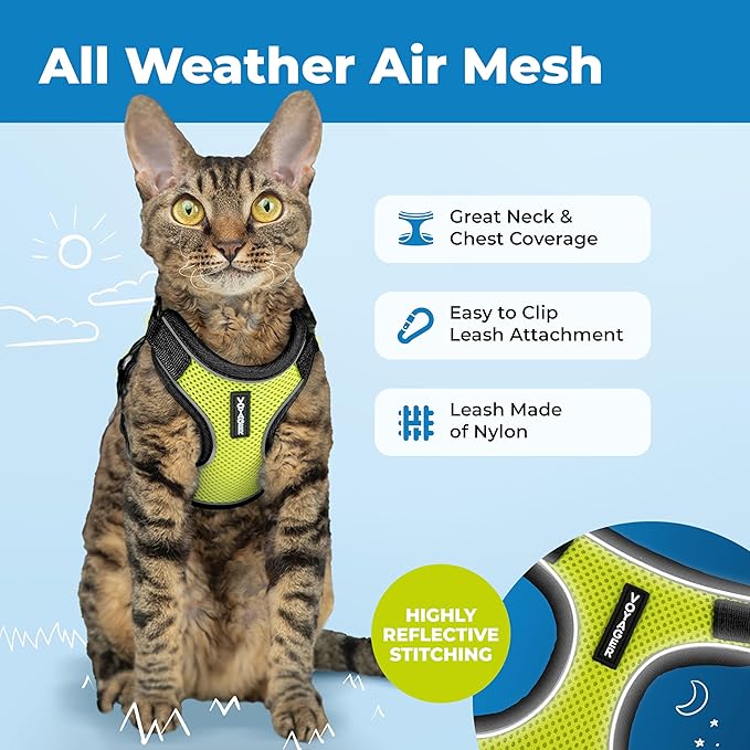 Voyager Escape Proof Cat Harness and Leash Set with Reflective Stitching, Neoprene Handle 5ft - Supports Small, Medium and Large Cats, Kittens for Walking by Best Pet Supplies - Black Trim-Lime, XS