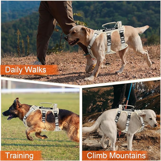 Escape Proof Dog Harness for Large Medium Sized Dogs Six Point Adjustable, Service Dog Vest Harness and Leash Set, No Pull Dogs Harnesses with Handle, XL Dog Harnesses for Walking(Beige, L)