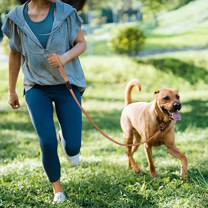 TwoEar Dog Leash Dog Slip Rope Leash 1/2" x 6FT Dog Training Leash Heavy Duty Strong Slip Lead Highly Reflective Threads for Small Medium and Large Dogs(Orange)