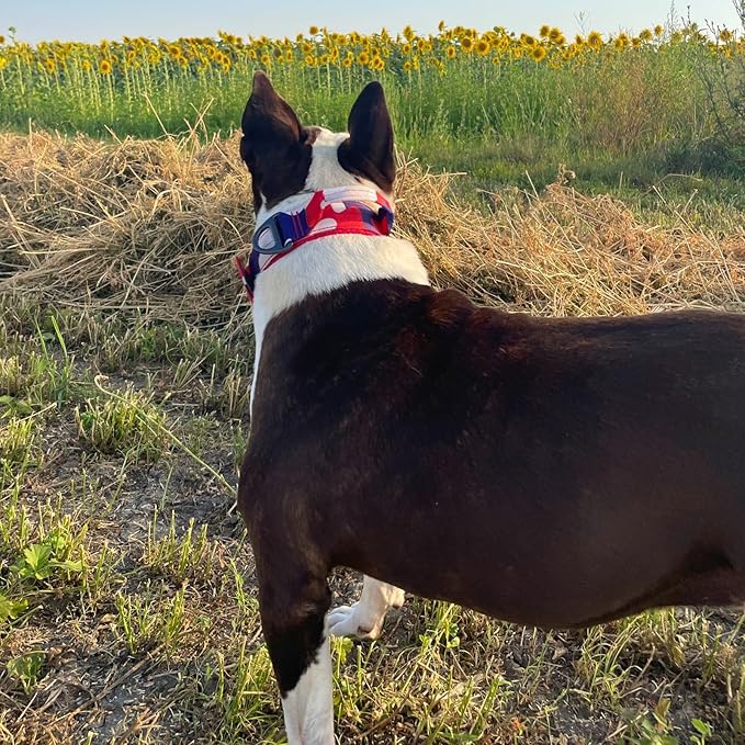 ADITYNA Heavy Duty Dog Collar for Medium Dogs - Camo Red Blue Collar with Handle for Training, and Walking - Wide, Thick, Tactical, Soft Neoprene Padded