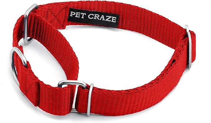 Martingale Dog Collar - Heavyduty Nylon Dog Collar with No Buckle Dog Training Collars for Medium Dogs (Red, Large)