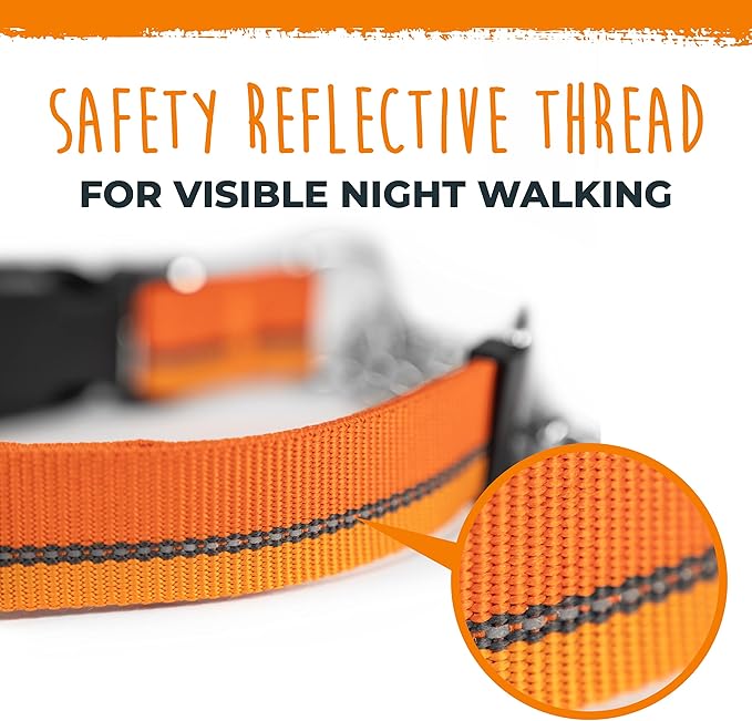 Mighty Paw Martingale Dog Collar 2.0 | Trainer Approved Limited Slip Collar with Stainless Steel Chain & Heavy Duty Buckle - Modified Cinch for Gentle & Effective Pet Training - S/M, Orange