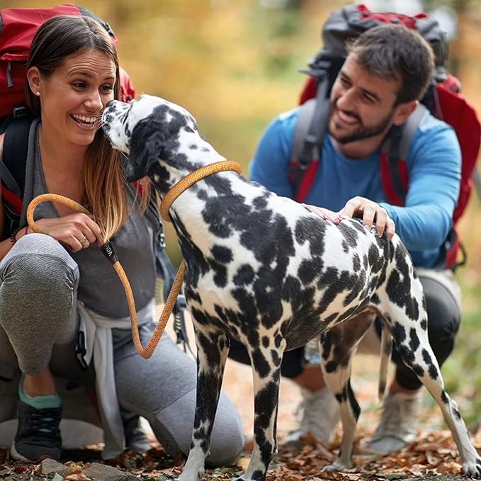 Fida Durable Slip Loop Lead for Large, Medium Dogs, 6 FT x 1/2" Heavy Duty, Comfortable Strong Rope, No Pull Pet Training Leash with Highly Reflective, Orange