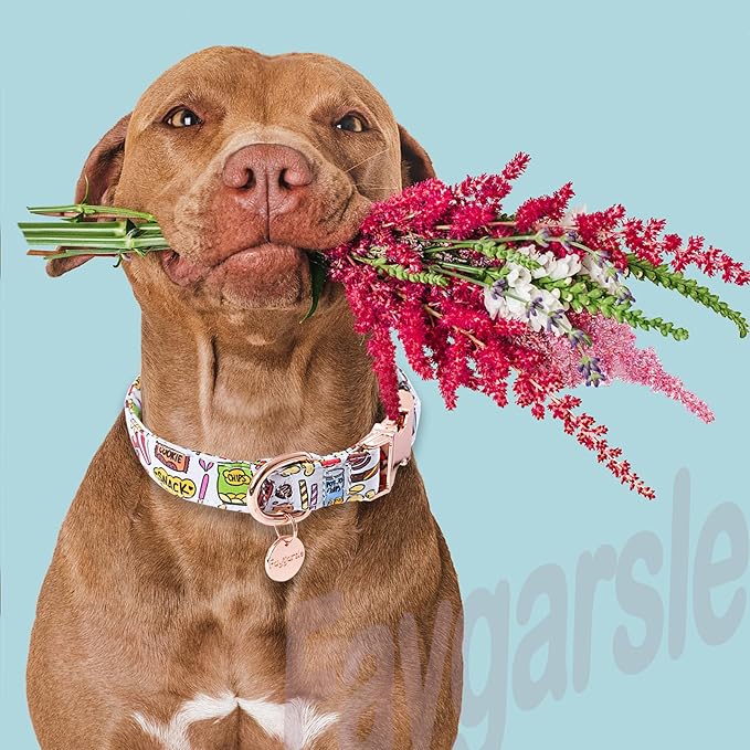 Faygarsle Snack Pattern Dog Collar for Small Medium Large Dogs Cute Puppy Collars for Female Dogs for Summer Spring Wedding Necklace Girl Dog Collar S