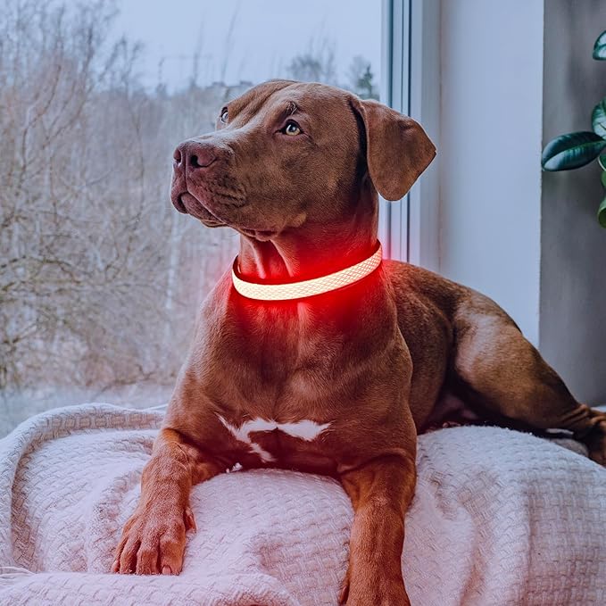 Flashseen LED Dog Collar, USB Rechargeable Light Up Dog Collar Lights, Adjustable Comfortable Soft Mesh Safety Dog Collar for Small, Medium, Large Dogs(Medium, Ruby Red)