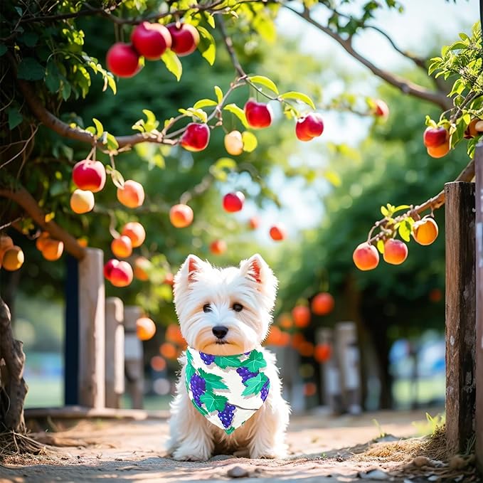 10PCS Dog Bandanas Summer Fruit for Medium Breed Dog Pink Purple Yellow Blue Kerchief Triangle Bibs Head Scarves for Boys and Girls Grooming Costume